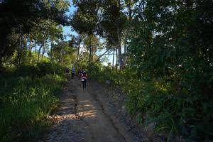 BIB: 
                            <button type="button" onclick="openModal(19341875)" class="btn btn-primary btn-sm float-right btn-popup" data-toggle="modal" data-target=".modal-high-quality">
                        <i class="fas fa-shopping-cart"></i> Add to Cart
                    </button>
                                            <button type="button" onclick="isThisMe(19341875, true)" class="btn btn-success btn-sm float-right btn-popup btn-isme hidden" data-toggle="tooltip" data-placement="bottom" title="นี่คือรูปของคุณใช่ไหม คลิกที่นี่เพื่อเอาเข้าอัลบั้ม">
                        <i class="fas fa-plus"></i> Add to album
                    </button>
                    <button type="button" onclick="isThisMe(19341875, false)" class="btn btn-warning btn-sm float-right btn-popup btn-isnotme hidden">
                        <i class="fas fa-ban"></i> Remove from album
                    </button>